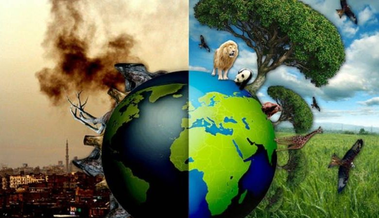 أسباب تلوث البيئة وحلولها