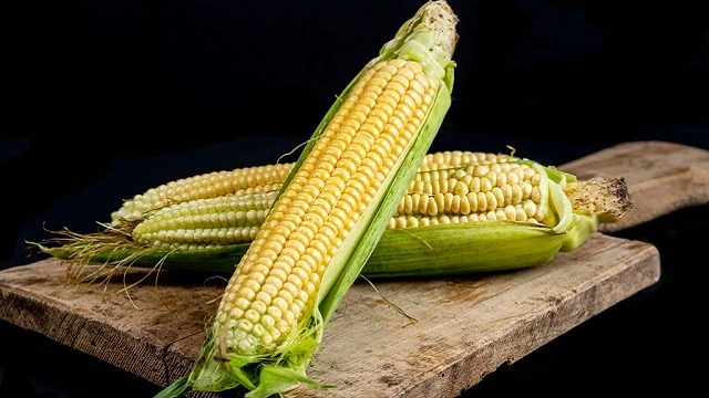 فوائد الذرة الصحية والجمالية
